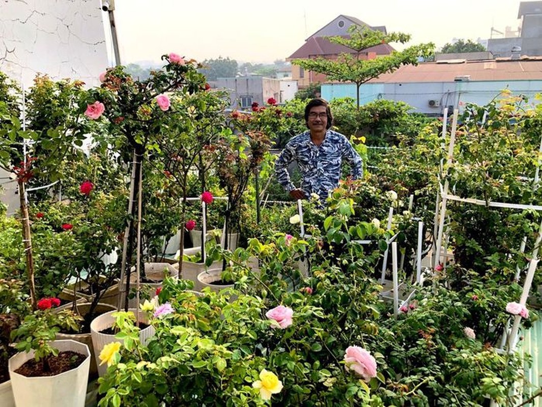 Muot mat vuon rong ruc ro quanh nam tren mai nha o Dong Nai