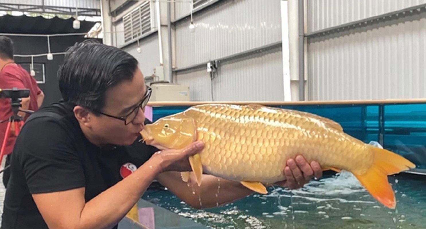 “Dot nhap” trang trai hon 1.000m2 cua “vua ca Koi” Thang Ngo-Hinh-8