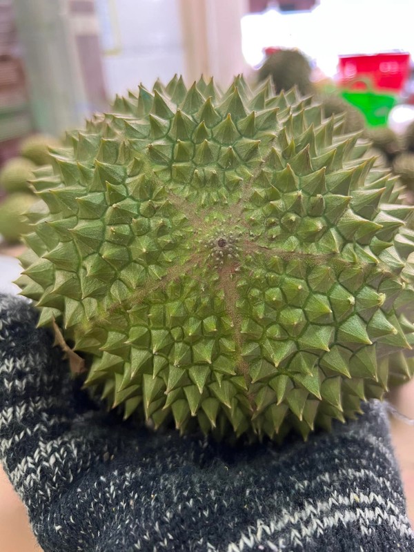 Sau rieng Musang King 3 trieu dong/qua ngon co nao?-Hinh-8