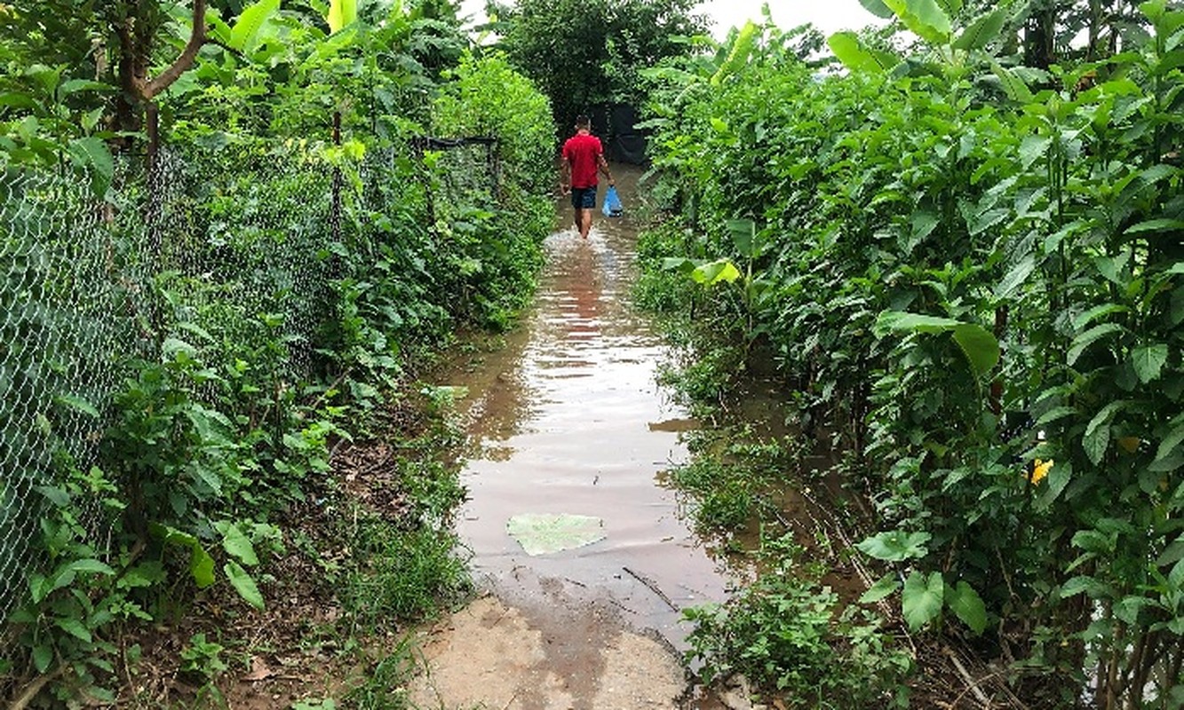 Hinh anh nuoc song Hong dang cao gay ngap lut nhieu noi o Ha Noi-Hinh-9