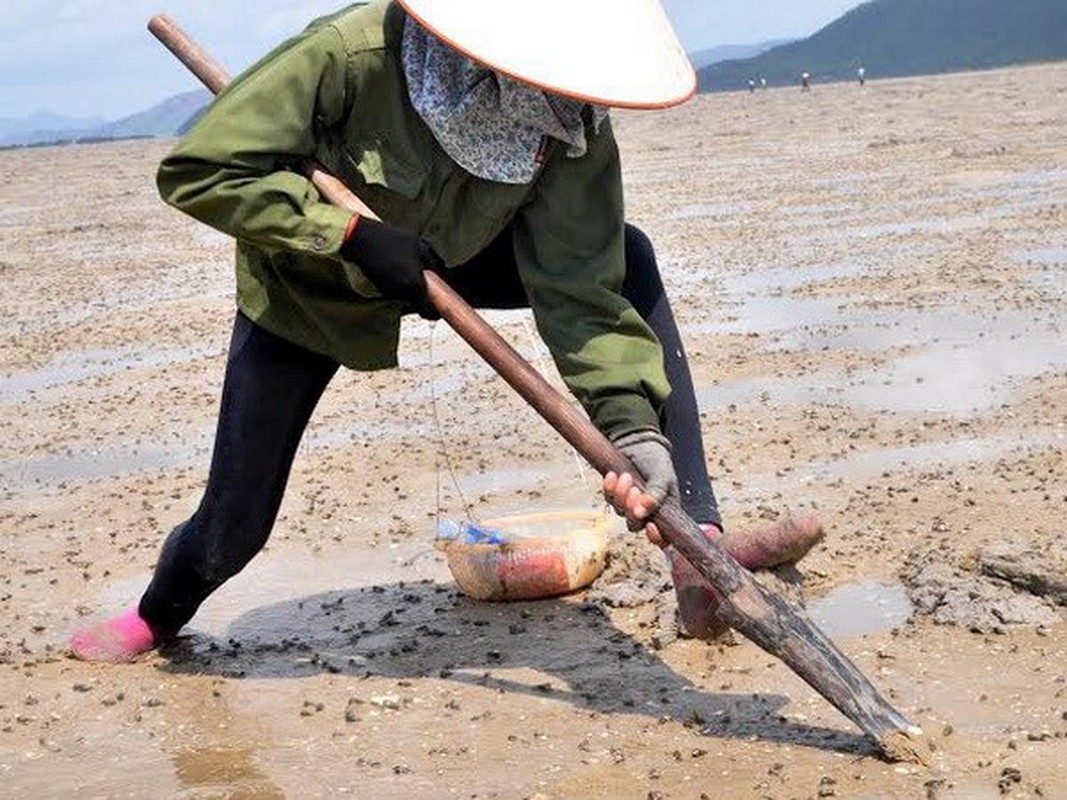 Tan muc qua trinh khai thac dac san tien vua “dat nhu vang”-Hinh-6