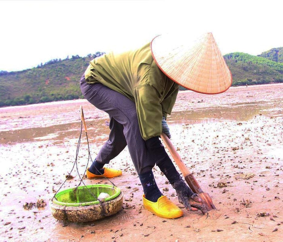 Tan muc qua trinh khai thac dac san tien vua “dat nhu vang”-Hinh-8