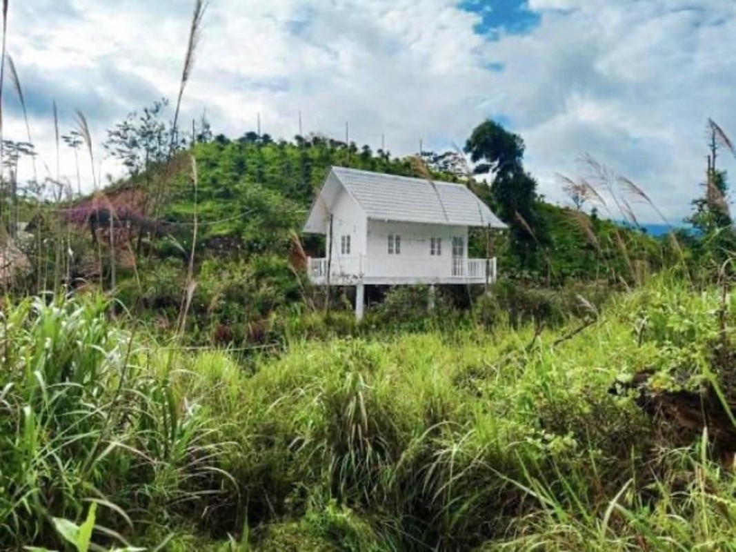 Moi mat ngam nha vuon rong menh mong o Da Lat cua sao Viet-Hinh-2