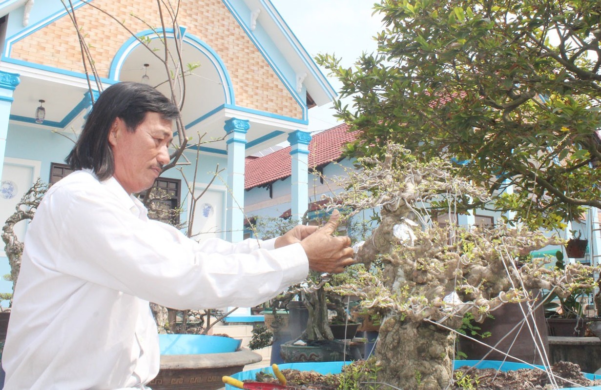 Chiem nguong loat bonsai tien ty cua “vua me” o mien Tay-Hinh-9