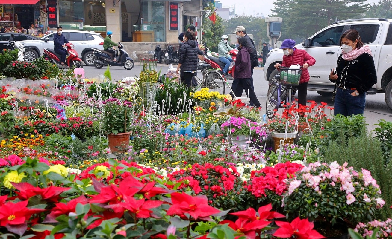 Diem danh 5 cho hoa Tet noi tieng o Ha Noi-Hinh-11