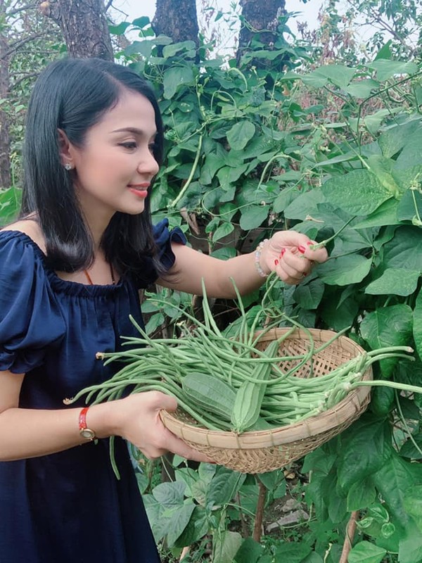 Can canh biet thu vuon ngap hoa trai cua Viet Trinh sau giai nghe-Hinh-11