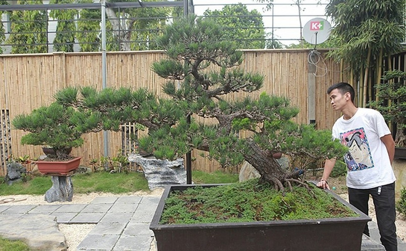 Can canh vuon bonsai co 1-0-2 cua “dai gia” Bac Giang-Hinh-2