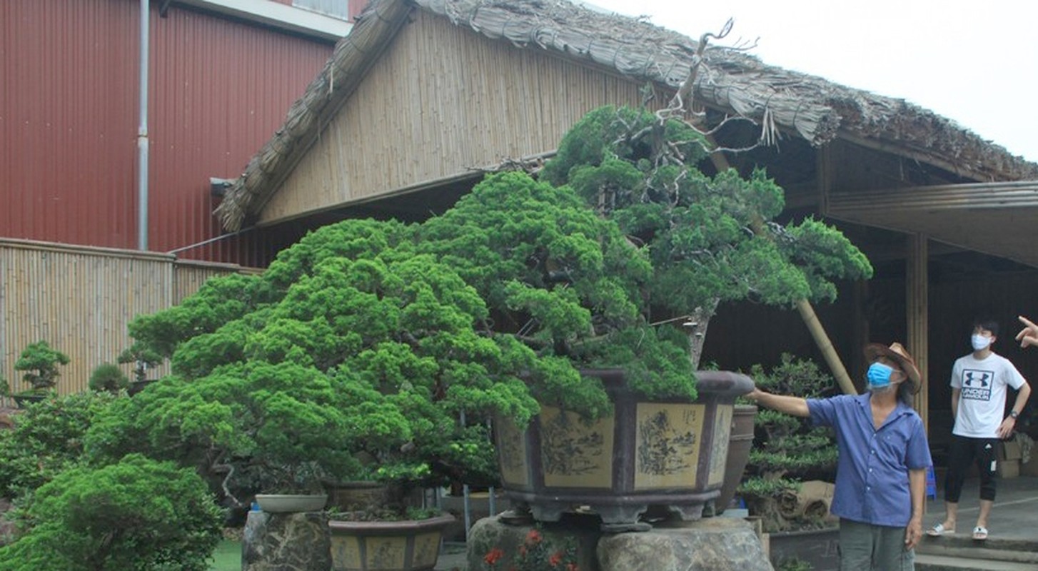 Can canh vuon bonsai co 1-0-2 cua “dai gia” Bac Giang-Hinh-9