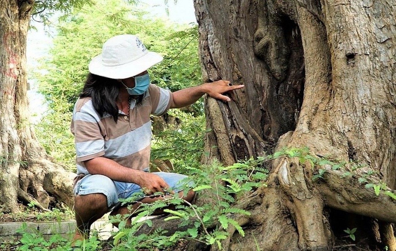 Chiem nguong me co thu 200 tuoi, chu quy hon vang-Hinh-6