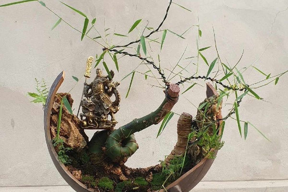 Ngo ngang cay dai moc bo bui thanh bonsai “het gia” 70 trieu-Hinh-2