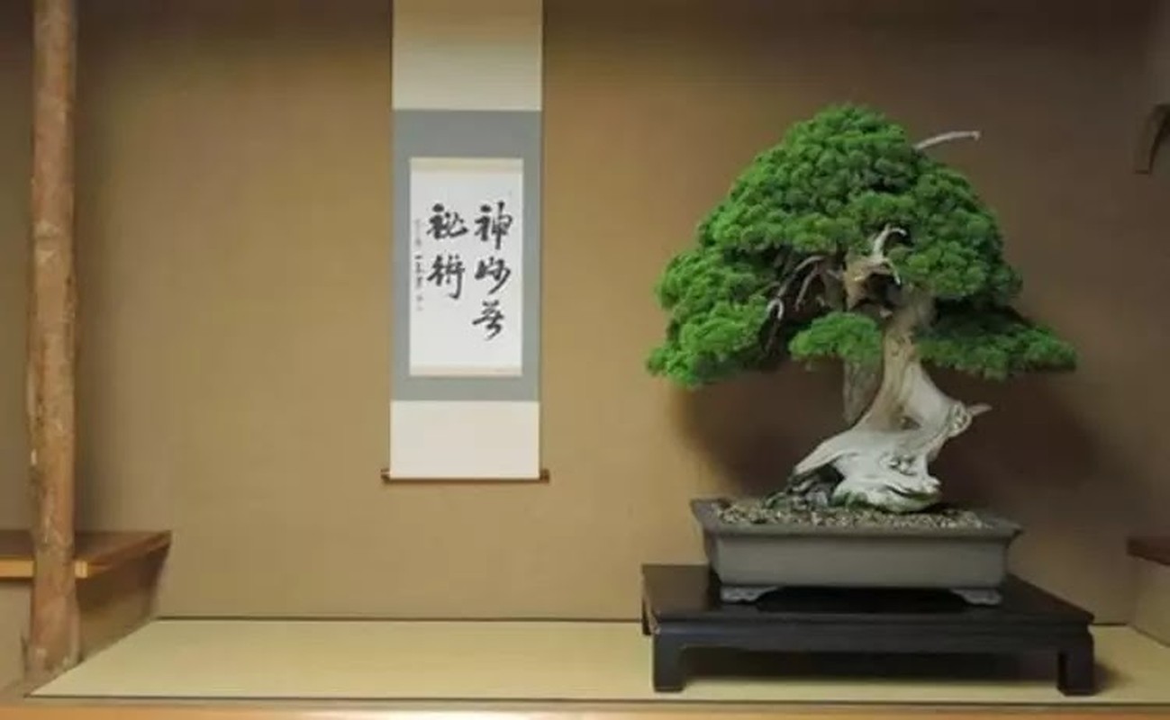 Chiem nguong nhung tac pham bonsai dat nhat the gioi-Hinh-4