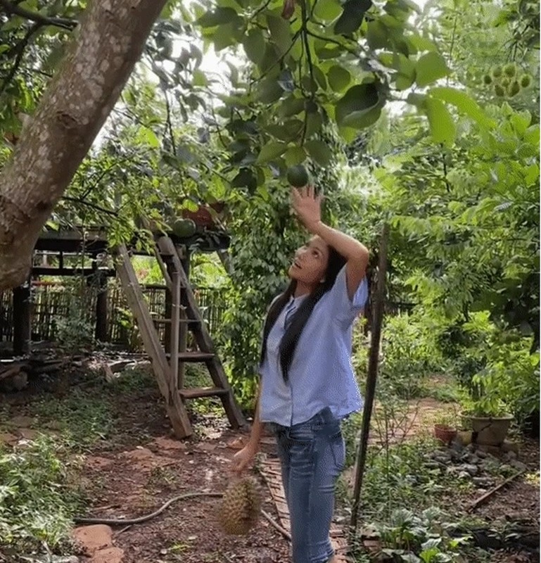 Khu vuon ngap cay trai trong nha Hoa hau H’Hen Nie tai que nha-Hinh-6