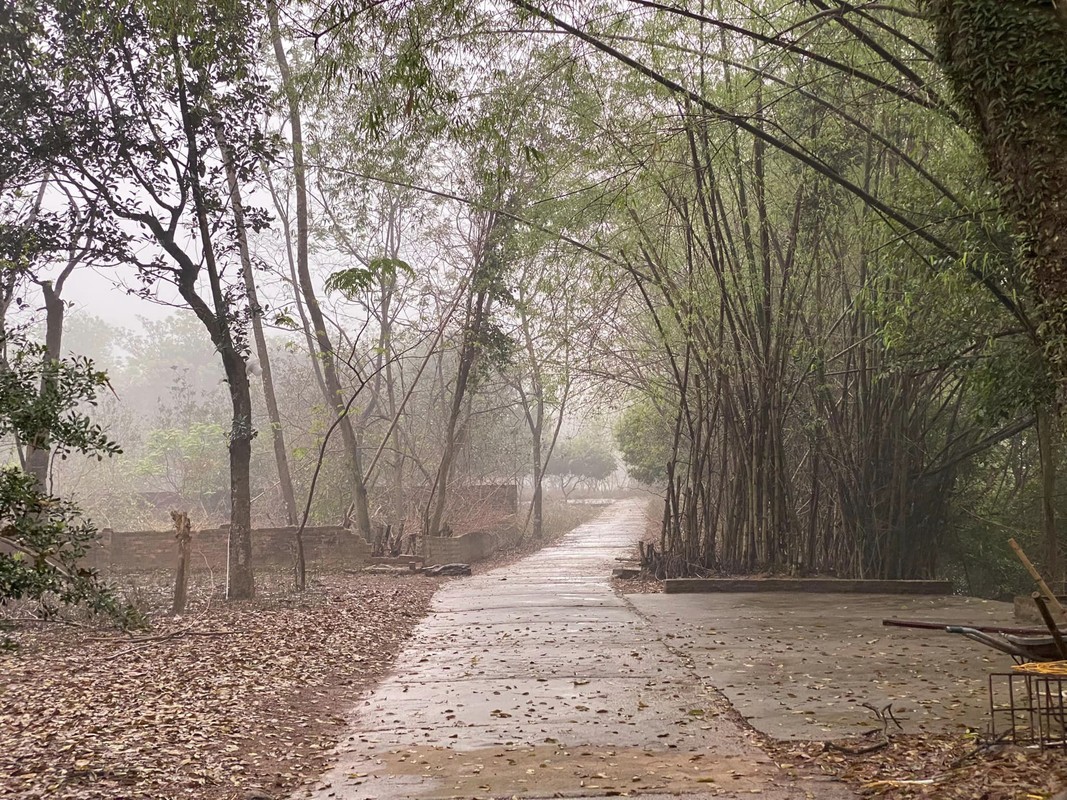 Nha vuon rong 1.000m2 o ngoai thanh Ha Noi cua NSUT Chieu Xuan-Hinh-10