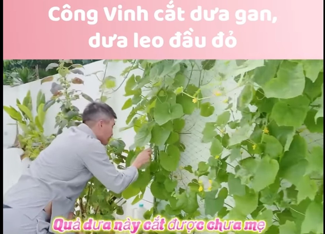 To mo khong gian song sang trong cua Cong Vinh - Thuy Tien-Hinh-9