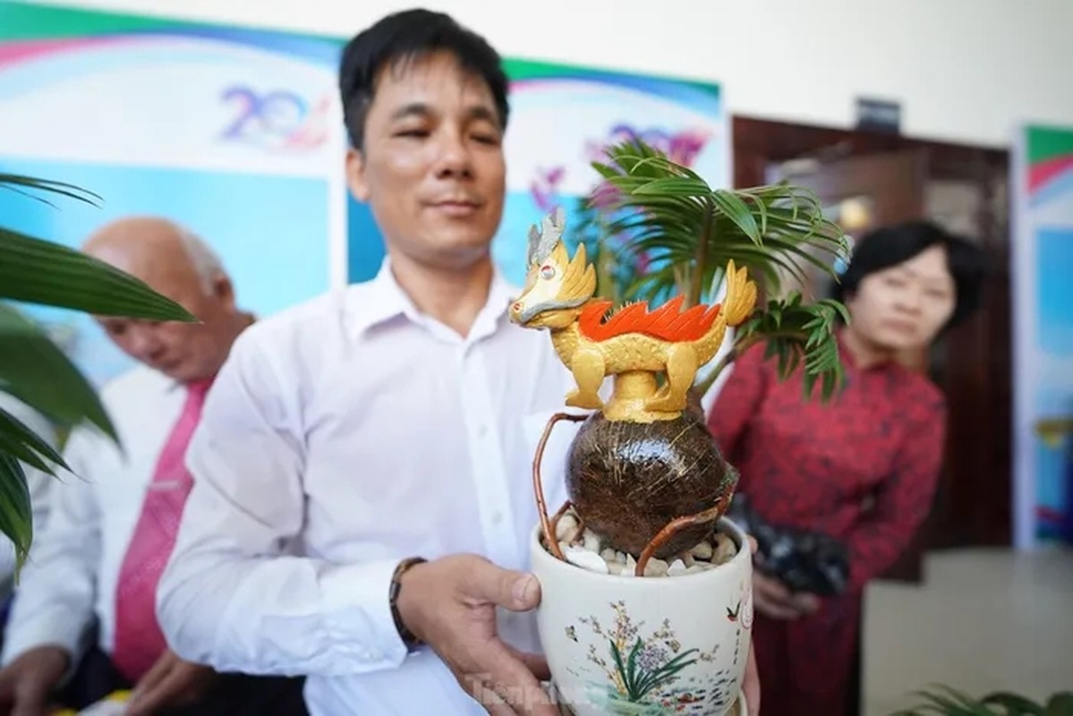 Rong vang om dua bonsai “ngong” khach ruoc ve choi Tet Giap Thin 2024
