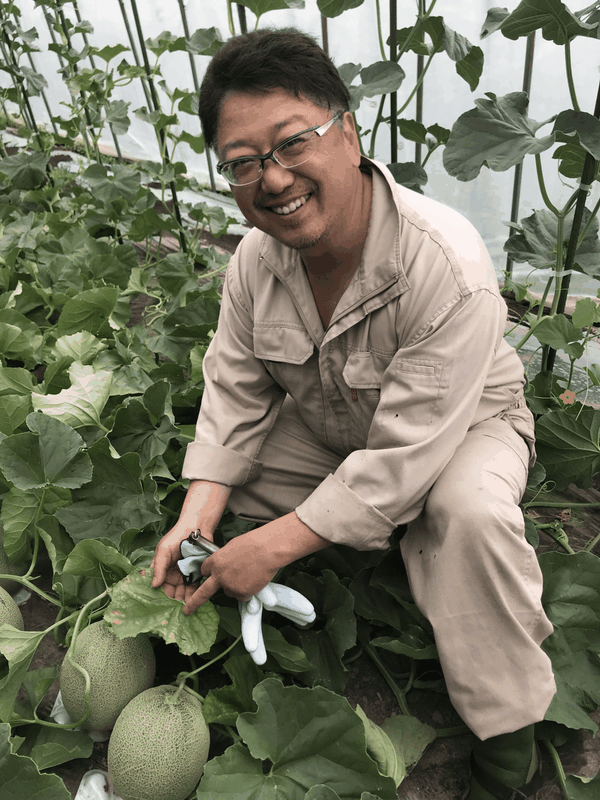 Bat mi loai qua gia ngang chiec o to, nguoi thuong kho mua duoc-Hinh-6