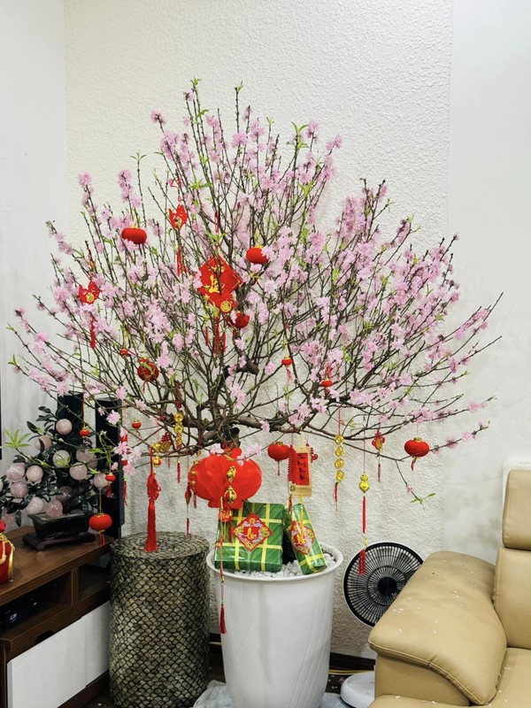 View - 	Phòng khách ngập hoa trong nhà NSND Công Lý ngày cận Tết