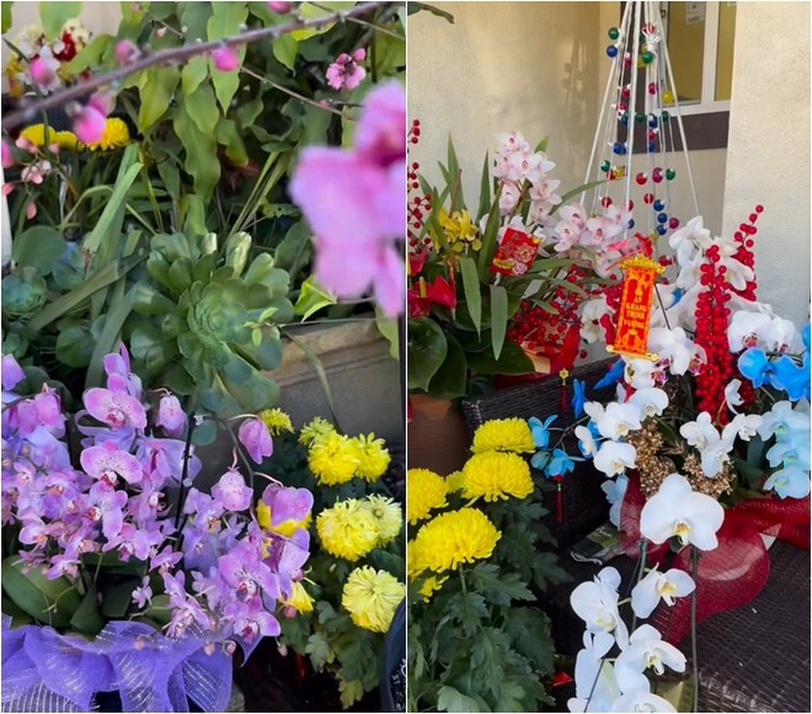 Khu vuon ruc sac hoa trong biet thu 2.000 m2 cua Bang Kieu-Hinh-6