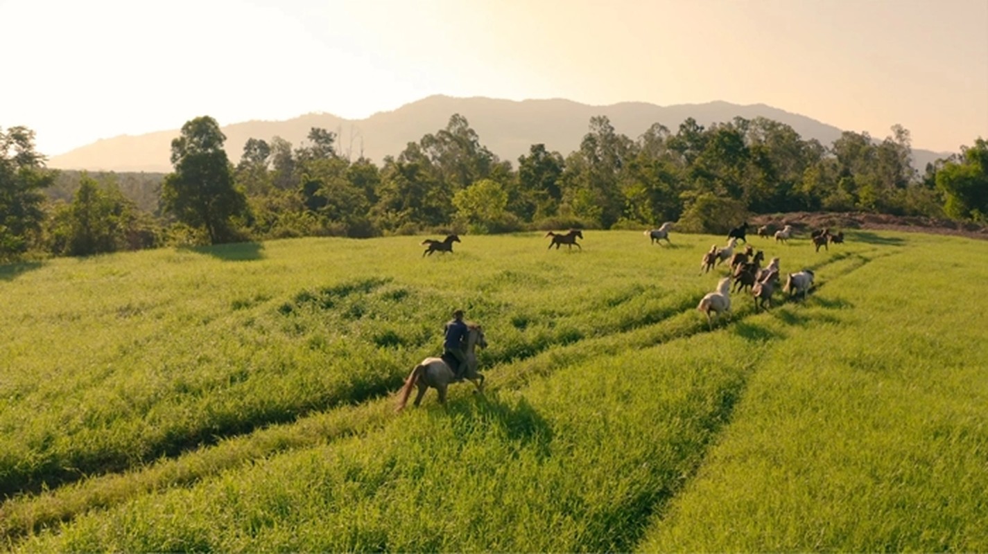 Cuoc song bi an trong hang da cua doanh nhan Dang Le Nguyen Vu-Hinh-3