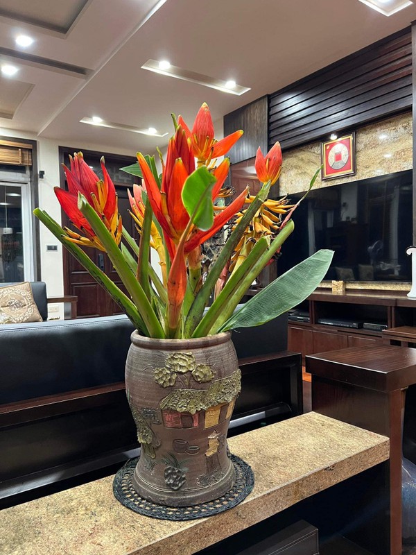 Hoa chuoi rung xuong pho bat ngo thanh dac san hut khach-Hinh-6