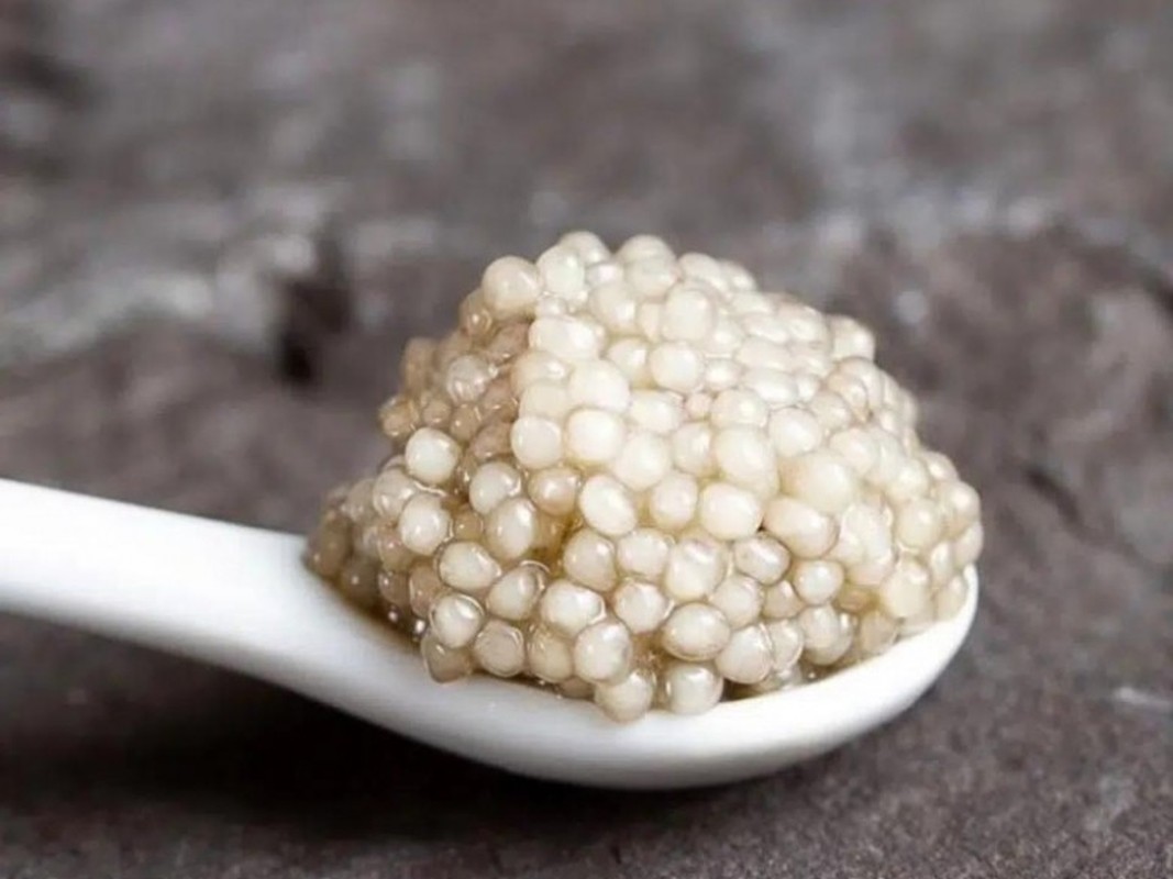 View - 	Lý do gì khiến trứng cá Caviar đắt bậc nhất hành tinh? 