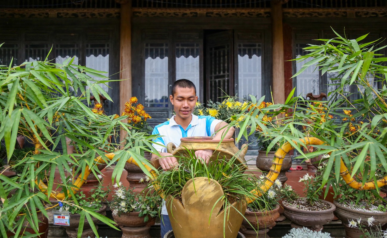 Ngam tre bonsai “doc nhat vo nhi” dai gia tranh mua bang moi gia-Hinh-4