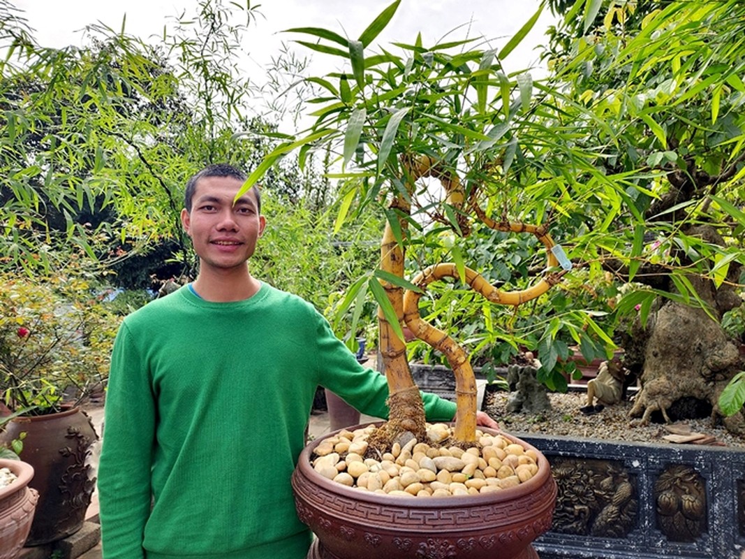 Ngam tre bonsai “doc nhat vo nhi” dai gia tranh mua bang moi gia