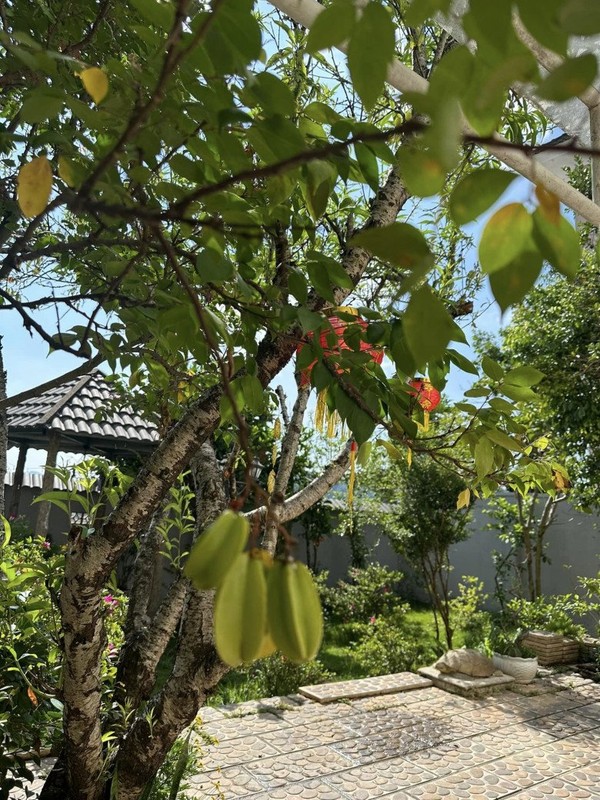 View - 	Cơ ngơi xanh mướt của Vy Oanh và chồng đại gia ở Đà Lạt