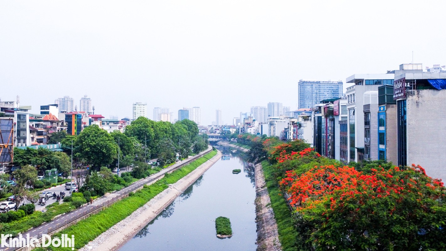 Man nhan mua hoa thang 5 khoe sac tai Ha Noi-Hinh-8