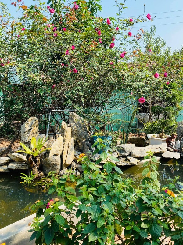 View - 	Nhà vườn rộng 20.000m2 của NSND Minh Hằng ở ngoại thành Hà Nội 