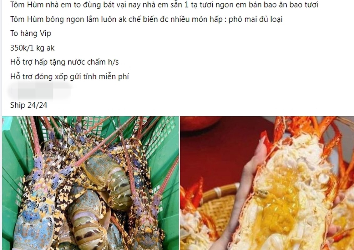 View - 	Tôm hùm bông giá siêu rẻ bất ngờ đổ bộ chợ Hà Nội 