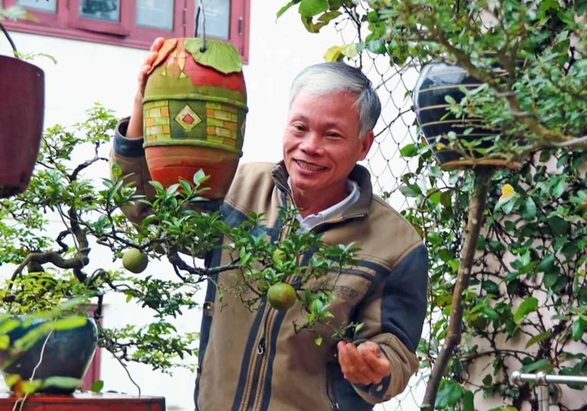 Chiem nguong dan bonsai moc nguoc doc nhat vo nhi tai Viet Nam-Hinh-5