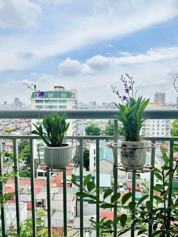 View - 	Mê mẩn không gian sống rực rỡ sắc hoa của BTV Hoàng Trang 