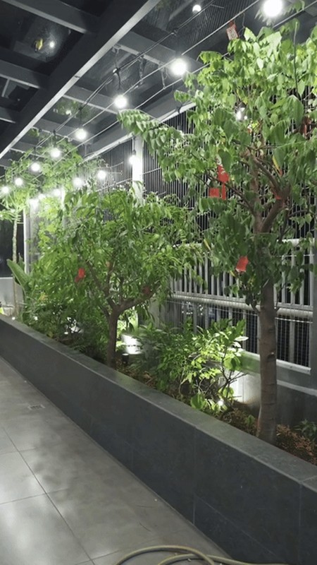 View - 	Cận cảnh penthouse 3 tầng có sân vườn xanh mướt của Ngô Kiến Huy