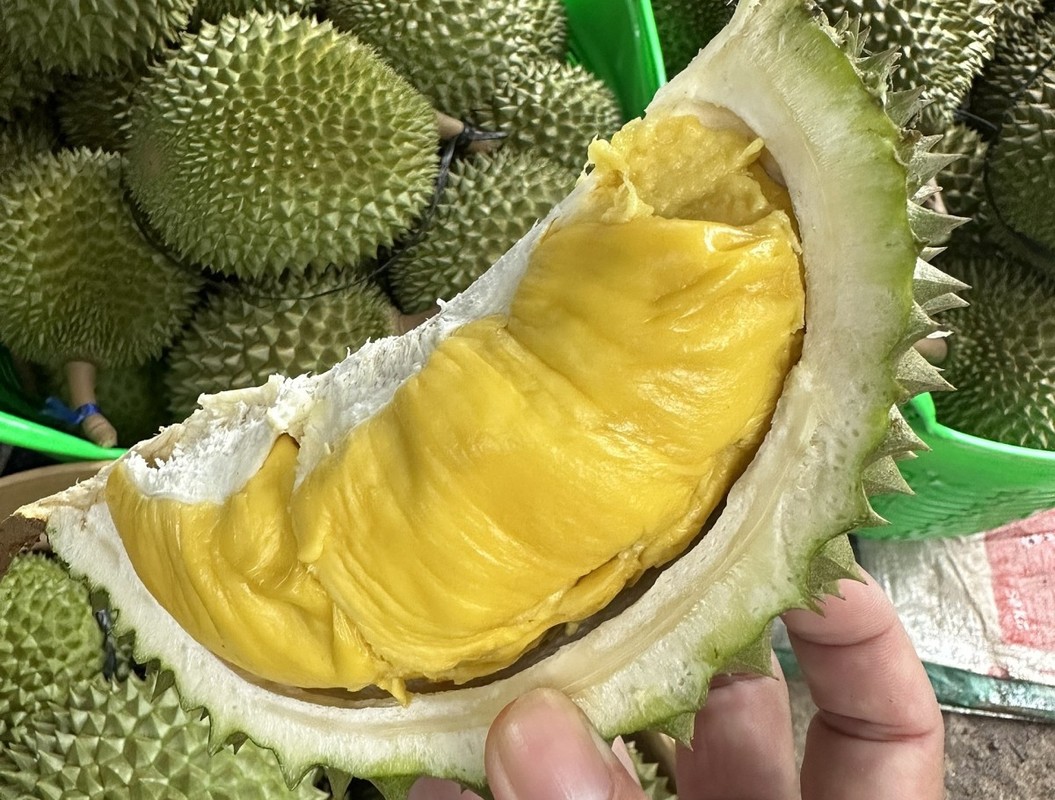 View - 	Trước khi rớt giá thê thảm, sầu riêng Musang King đắt cỡ nào?