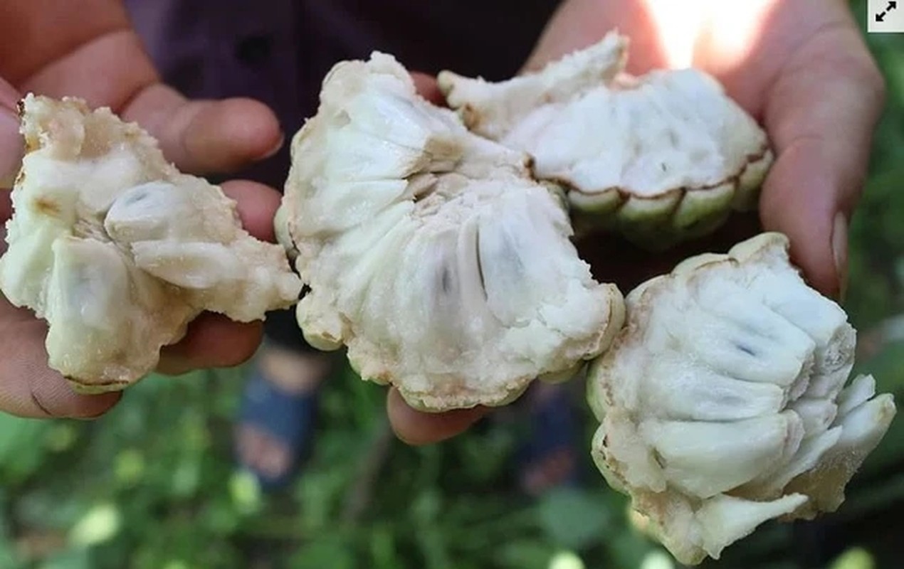 Tung bi “che len che xuong”, na bo 200.000 dong/kg van dat hang-Hinh-8