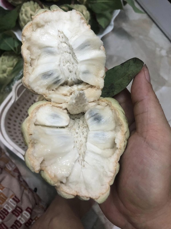 Tung bi “che len che xuong”, na bo 200.000 dong/kg van dat hang-Hinh-9