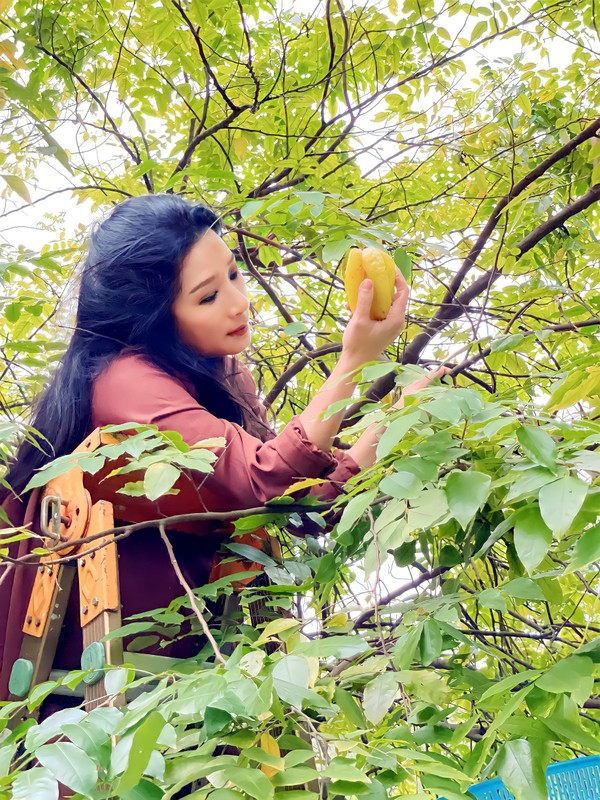 View - 	Bên trong nhà vườn “đi mỏi chân” của nghệ sĩ Thanh Thanh Hiền