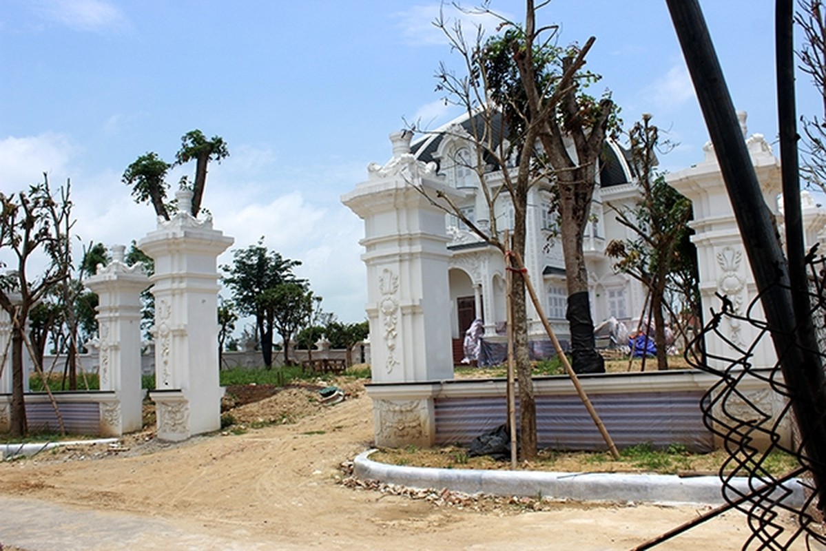 Choang ngop “biet phu” 5.000m2 cua cu ba ban rau o Ha Tinh-Hinh-5