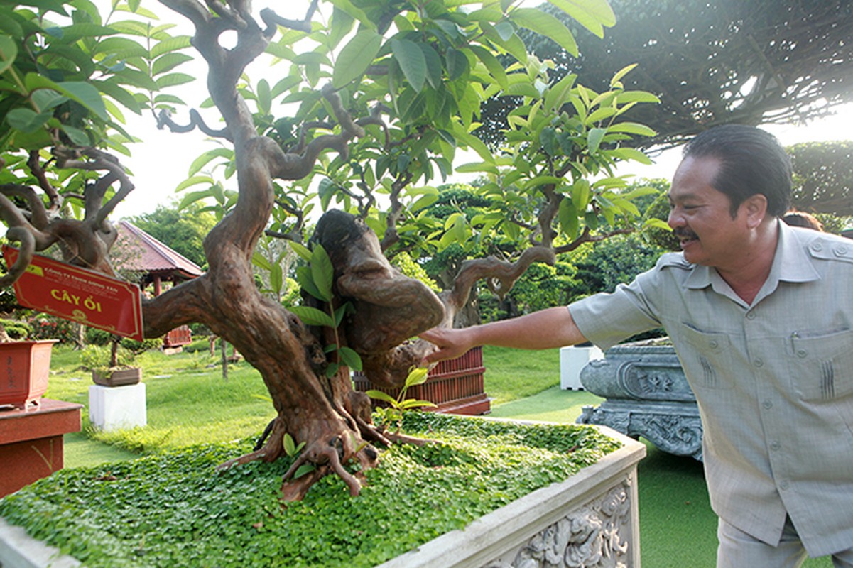 Muc so thi vuon bonsai cuc pham cua dai gia Thai Nguyen-Hinh-9