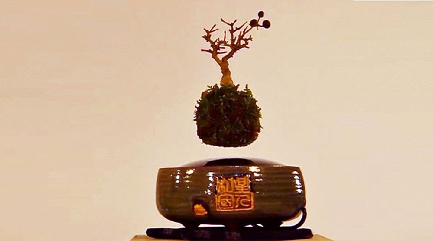 View - 	Ngắm loạt bonsai bay lơ lửng khiến dân chơi phát sốt