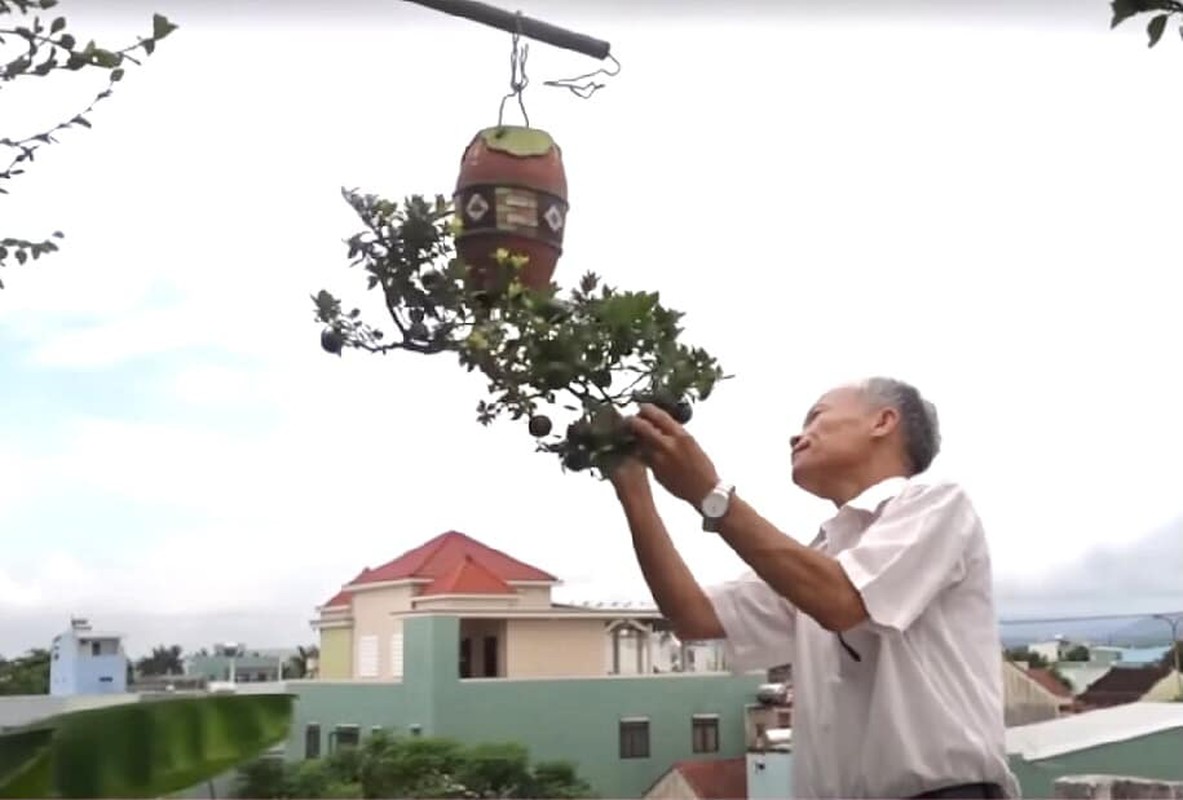 View - 	Vườn bonsai mọc ngược có 1-0-2 của “dị nhân” Quảng Nam 