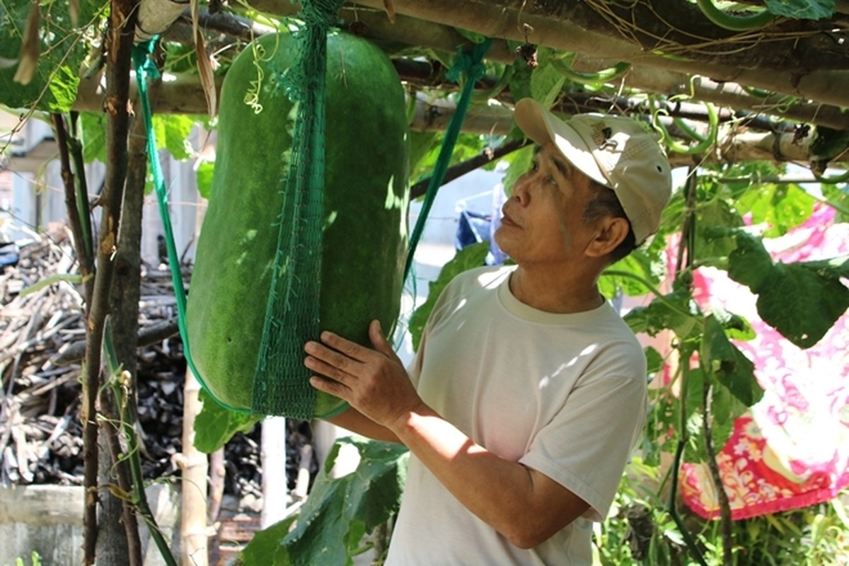 Nhung loai qua khong lo giup nong dan Viet “hai ra tien”-Hinh-3