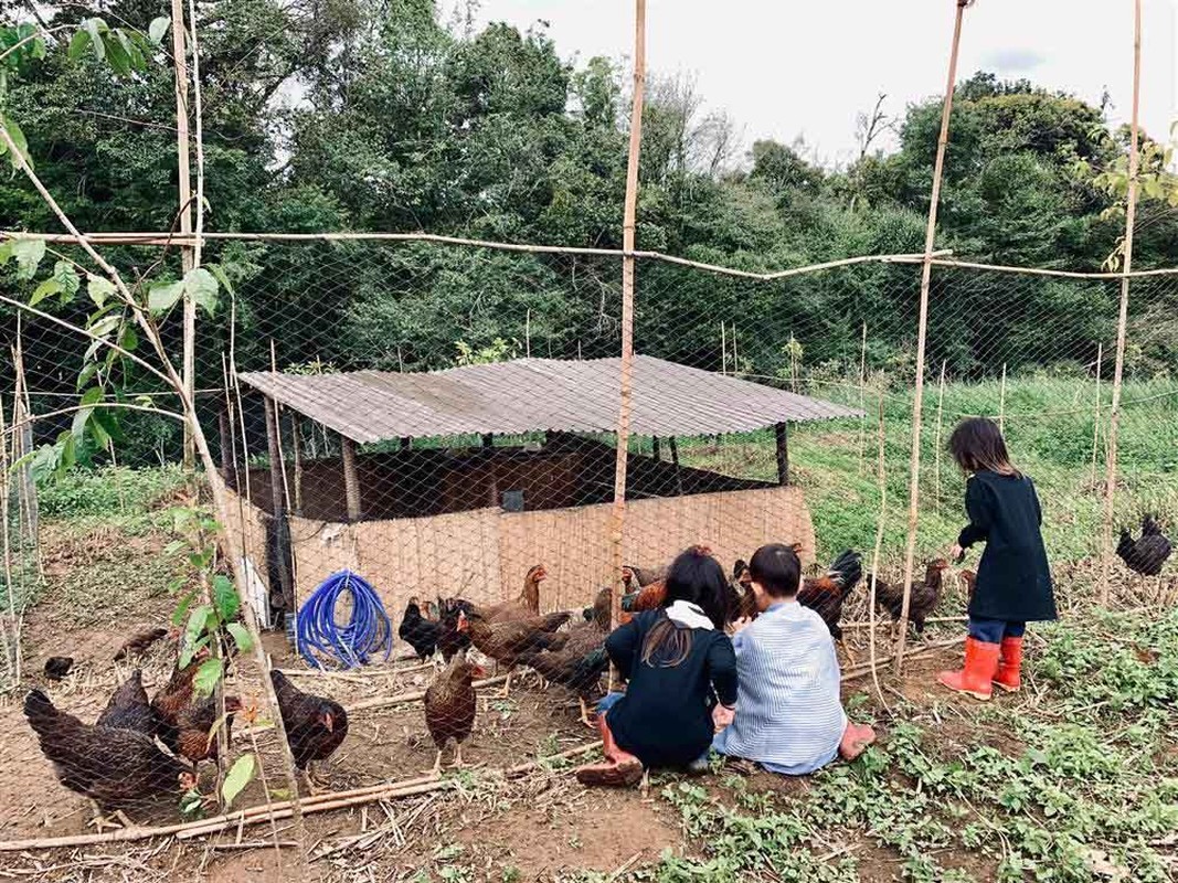 View - 	Cận cảnh nông trại nghìn mét vuông của Lý Hải - Minh Hà