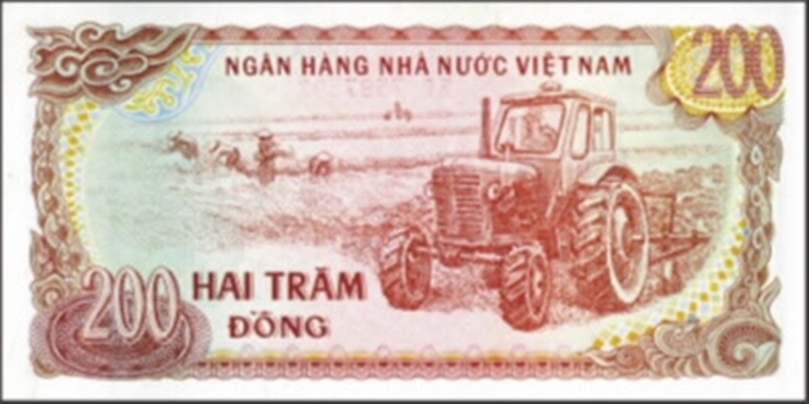 6 to tien giay cotton dang luu hanh nhung hiem gap tai Viet Nam-Hinh-5