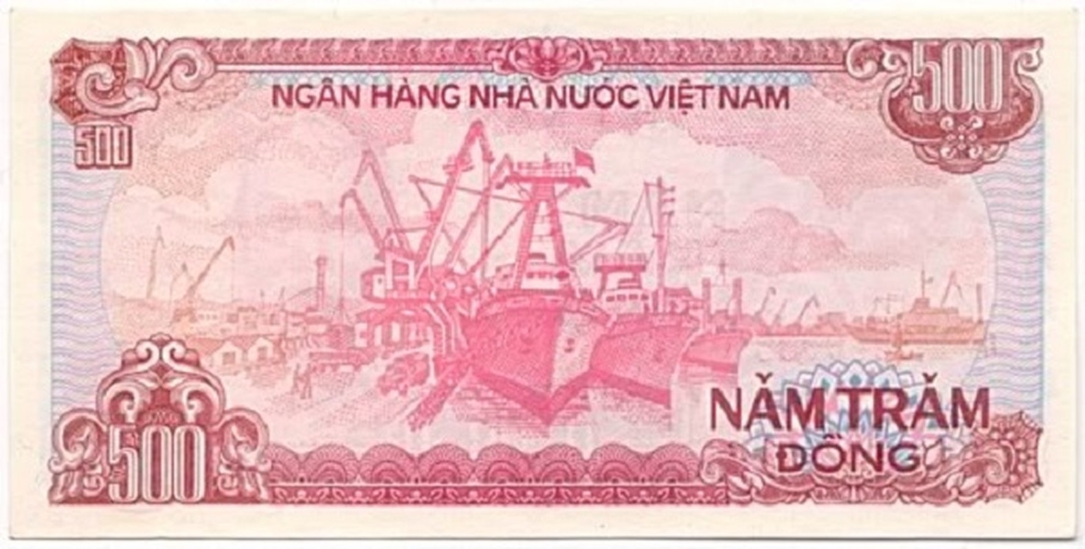 6 to tien giay cotton dang luu hanh nhung hiem gap tai Viet Nam-Hinh-7