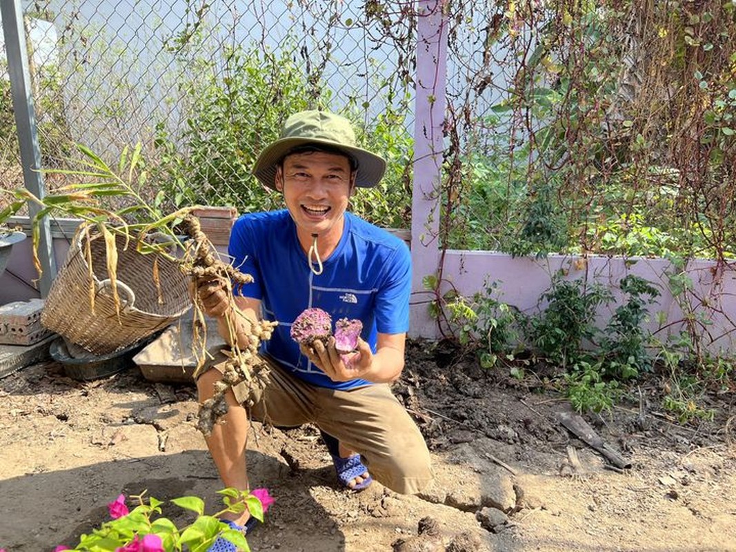 “Biet phu” mau tim du loai cay trai cua Tiet Cuong va vo tre-Hinh-12