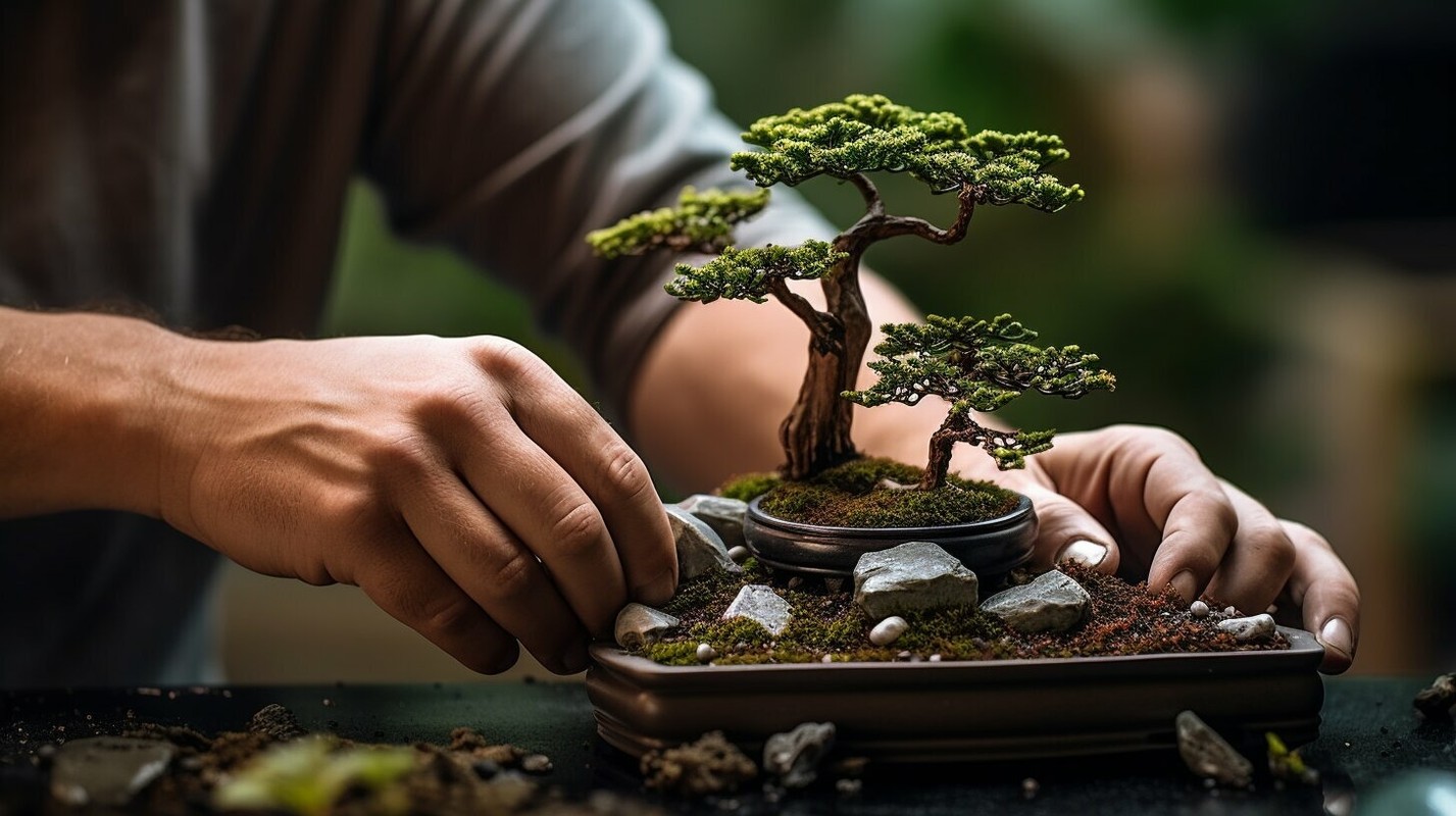 10 su that ngac nhien it nguoi biet ve bonsai-Hinh-11