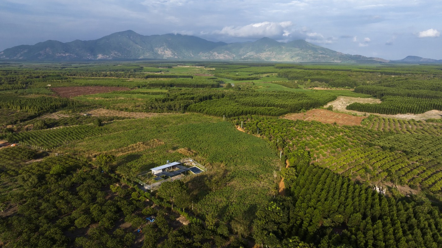 Bao My ngan ngo ngam nha Vung Tau nam giua thien nhien xanh mat-Hinh-2