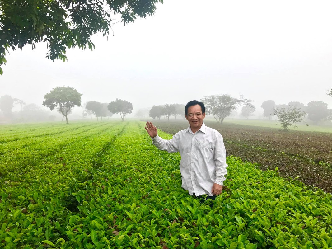 Khoi tai san “kho ai sanh bang” cua NSUT Quang Teo-Hinh-12